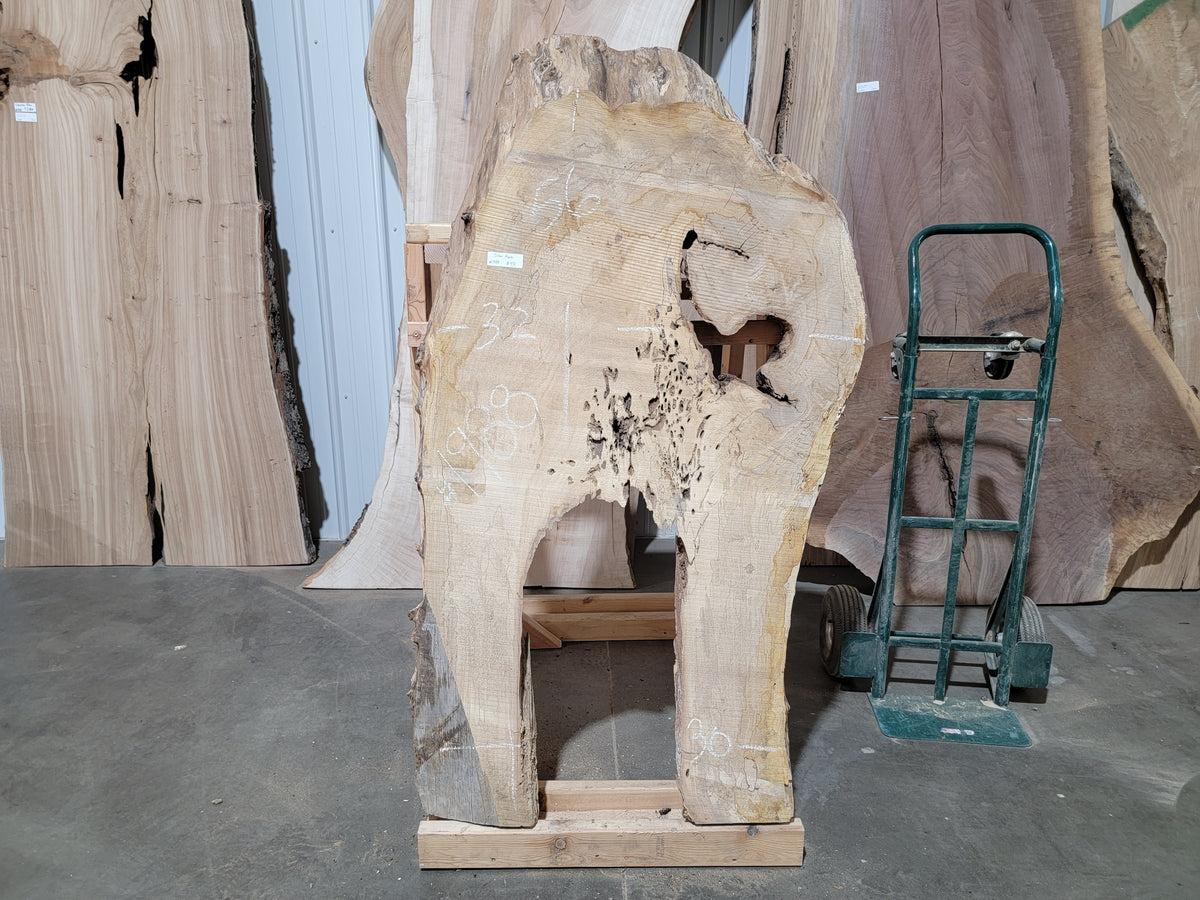 Silver Maple (1988)  56” L x 30-32” W x 2.75” T