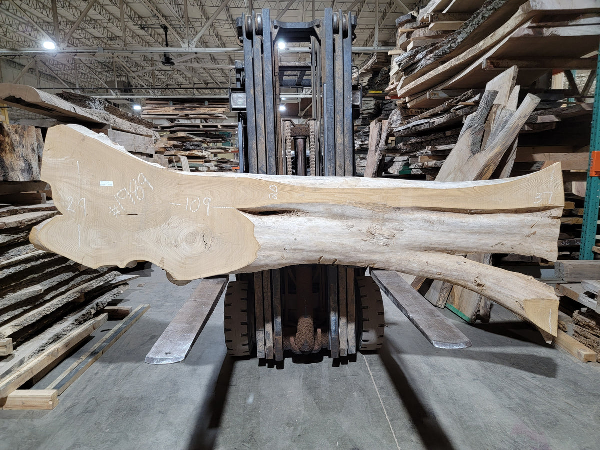 Siberian Elm (1989)  109” L x 20-29” W x 2” T