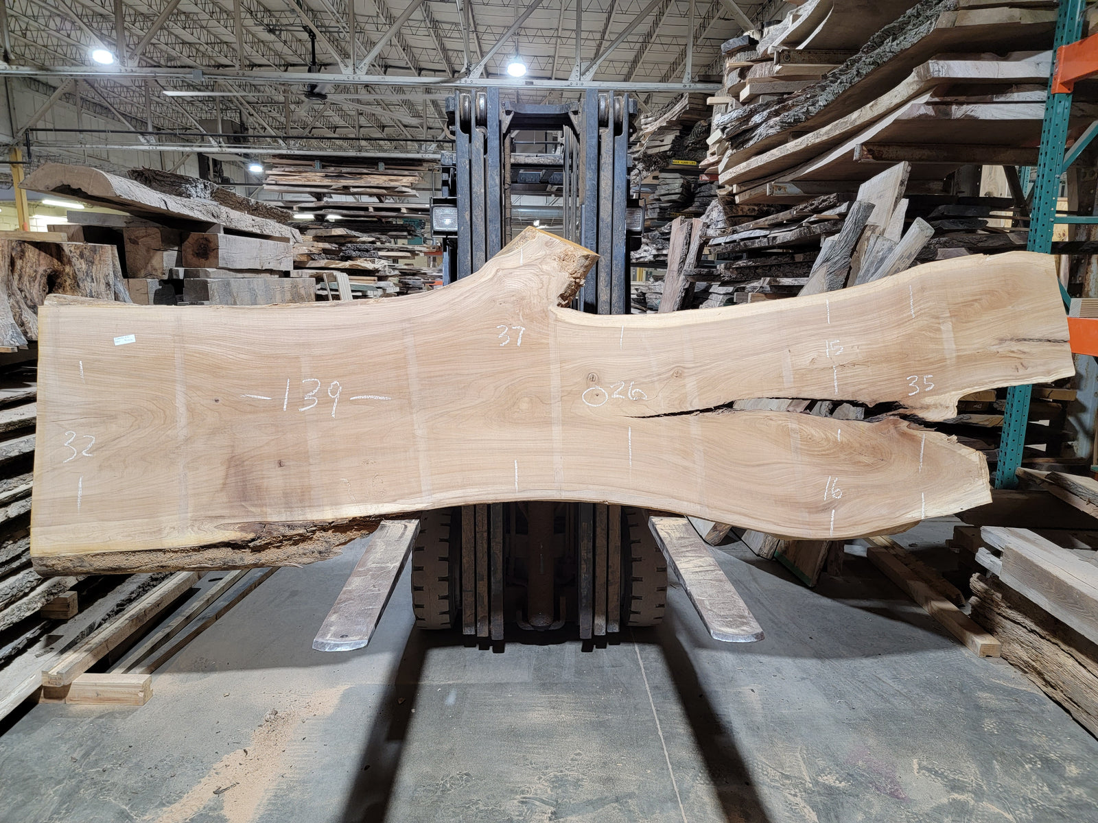 Siberian Elm (1991)  139” L x 26-37” W x 2.75” T