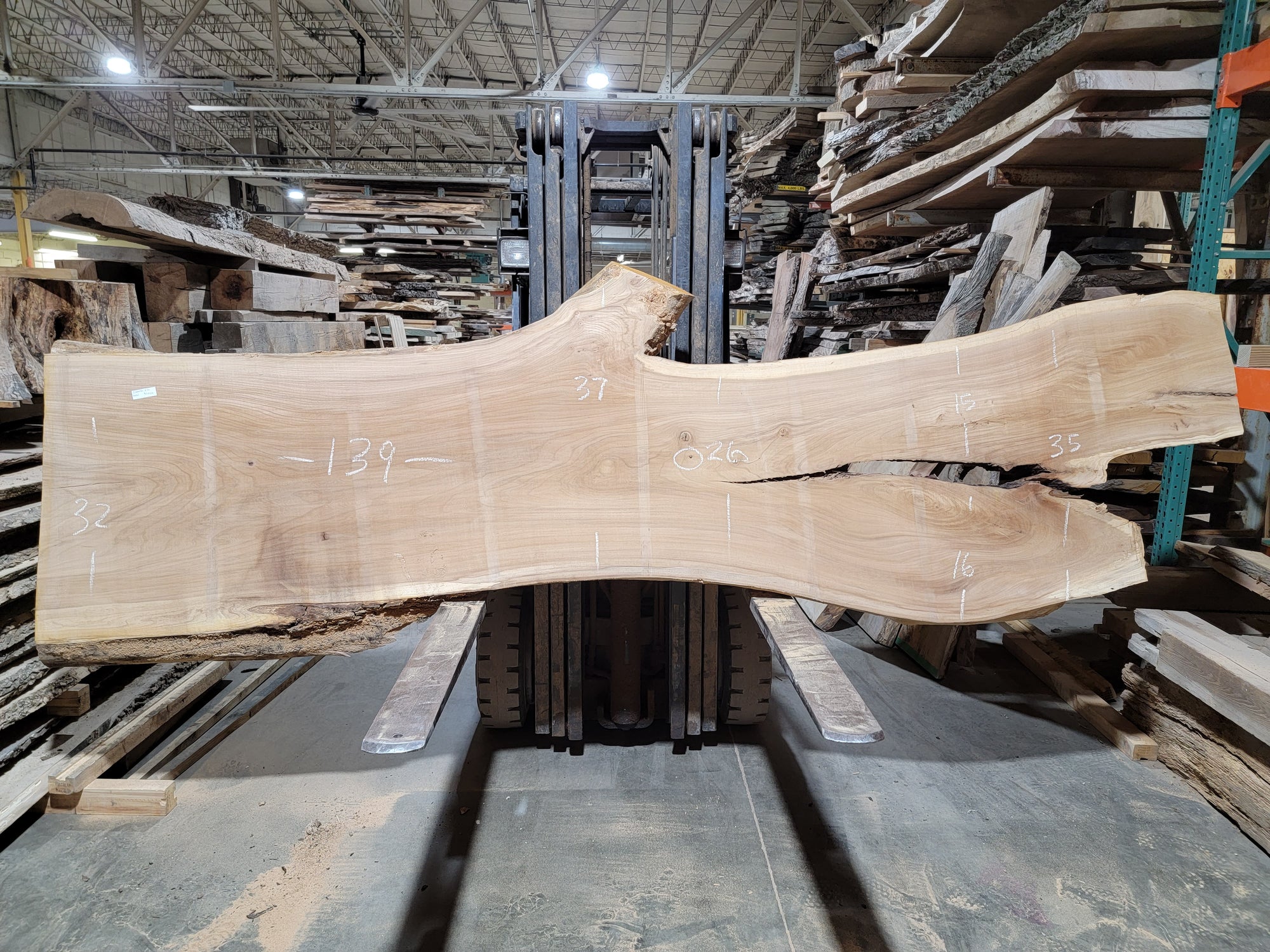 Siberian Elm (1991)  139” L x 26-37” W x 2.75” T