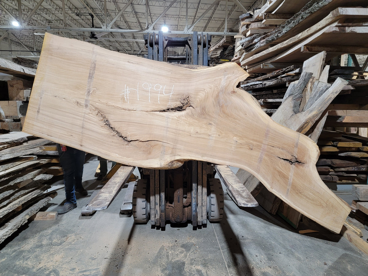 Siberian Elm (1994)  125” L x 19-41” W x 3” T