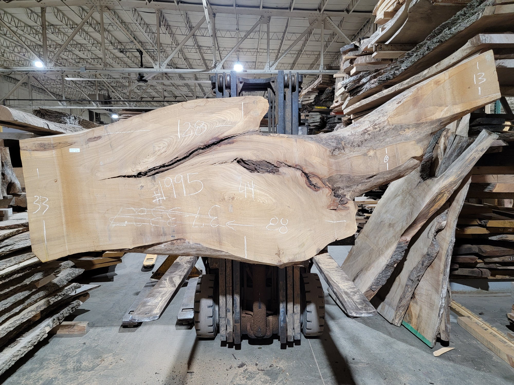 Siberian Elm (1995)  88” L x 33-44” W x 3” T