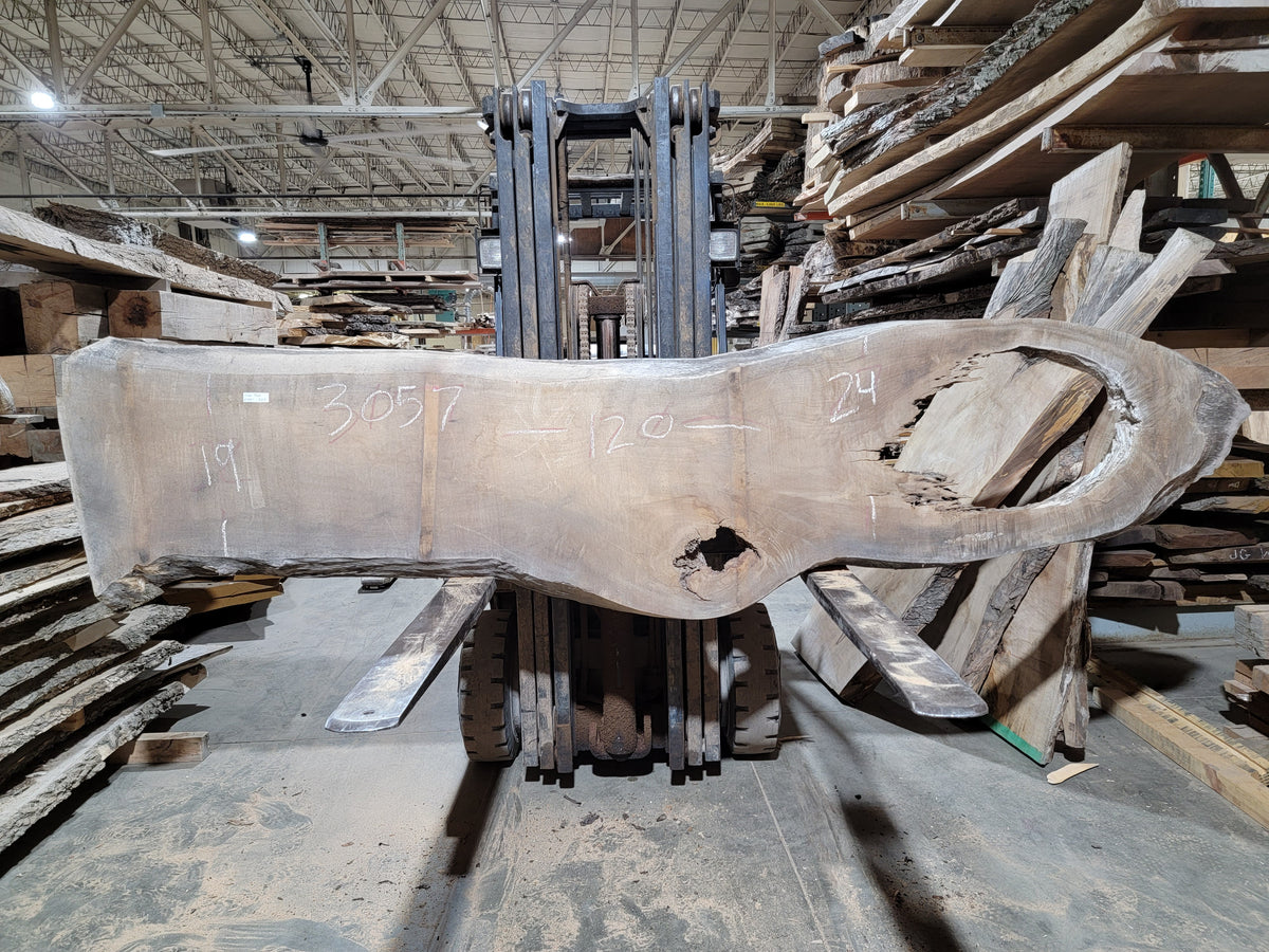 Silver Maple (3057)  120” L x 19-24” W x 2.25” T