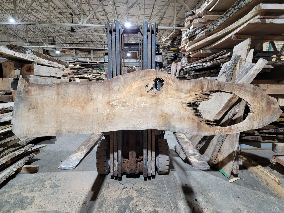 Silver Maple (3057)  120” L x 19-24” W x 2.25” T