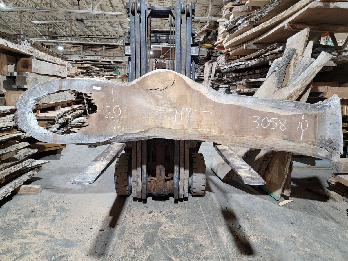 Silver Maple (3058)  118” L x 10-20” W x 2.5” T