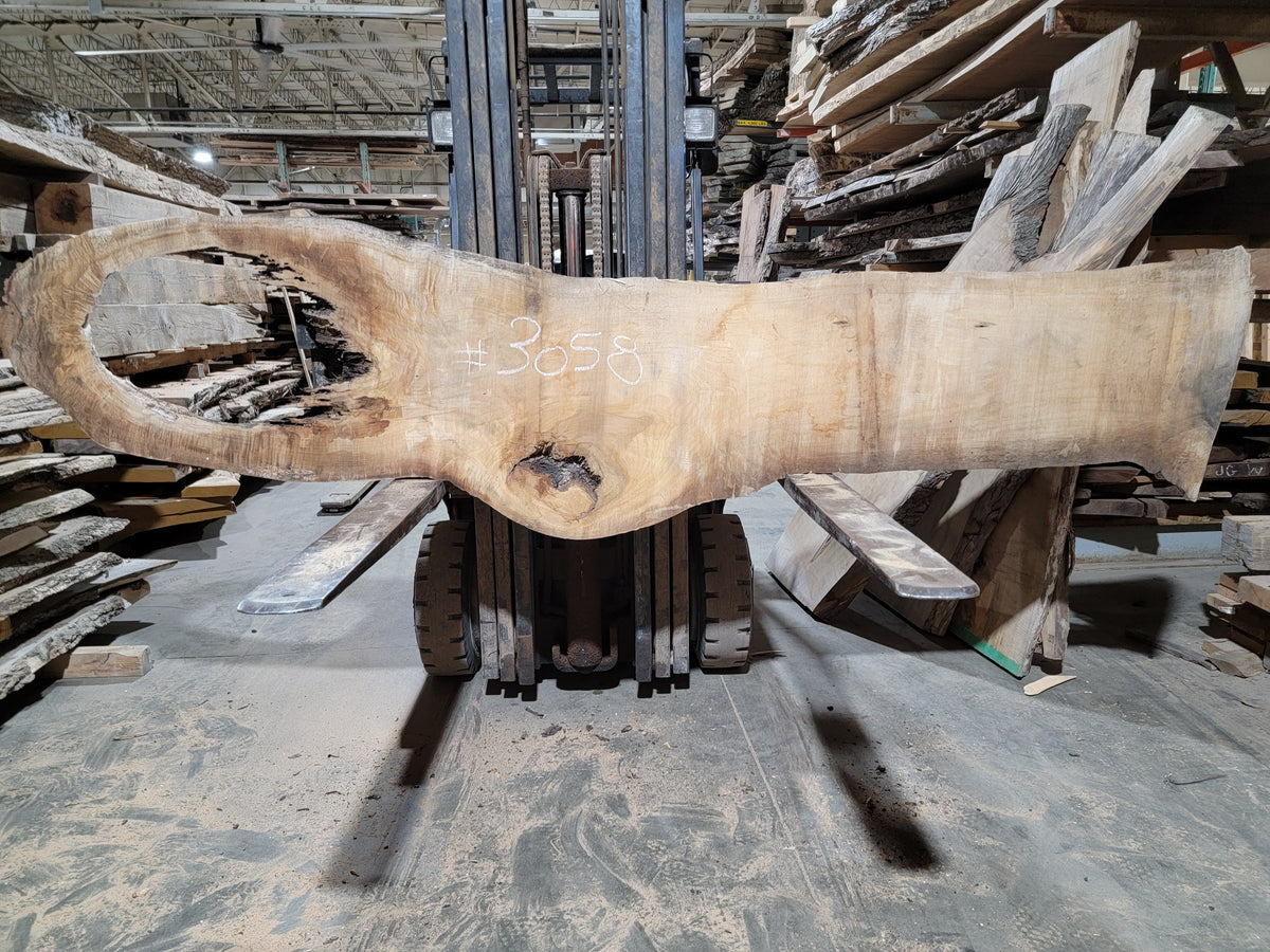 Silver Maple (3058)  118” L x 10-20” W x 2.5” T