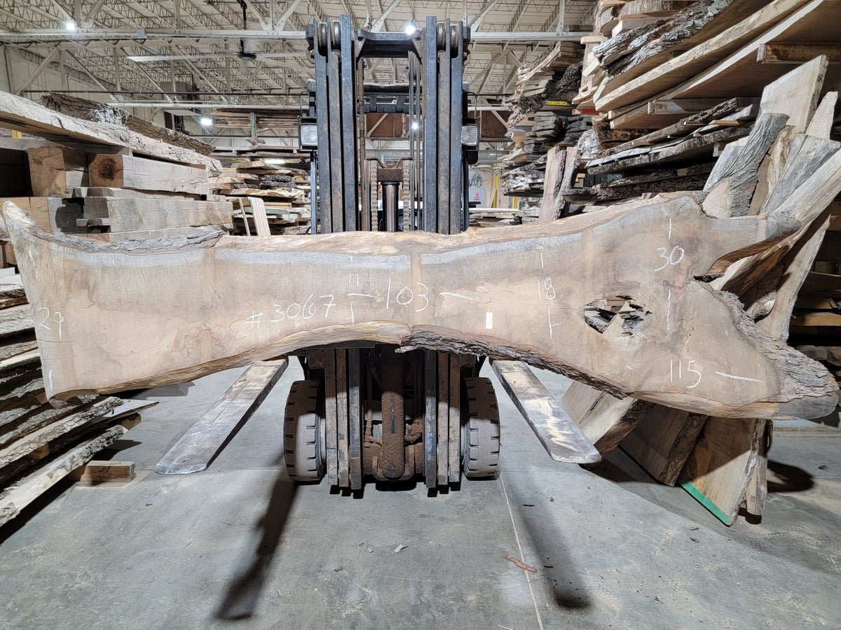 Sugar Maple (3067) 103” L x 11-30” W x 2.25” T
