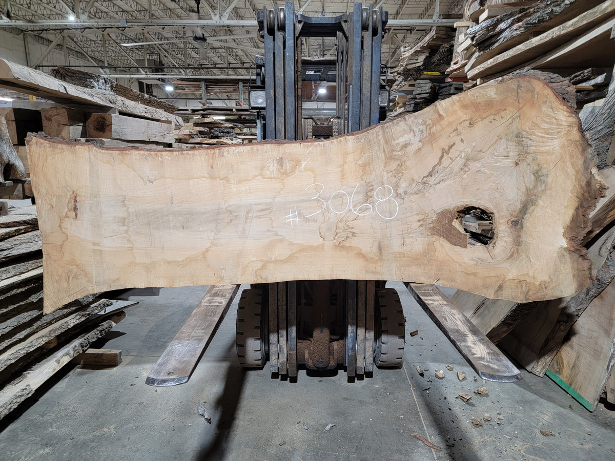 Sugar Maple (3068) 106” L x 23-42” W x 2.5” T