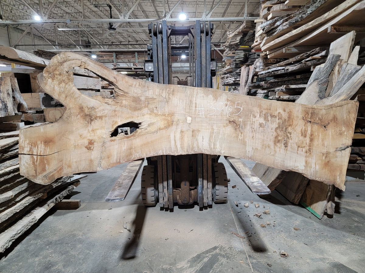 Sugar Maple (3065) 112” L x 22-46” W x 2.5” T
