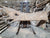 Sugar Maple (3066) 106” L x 18-40” W x 2.5” T