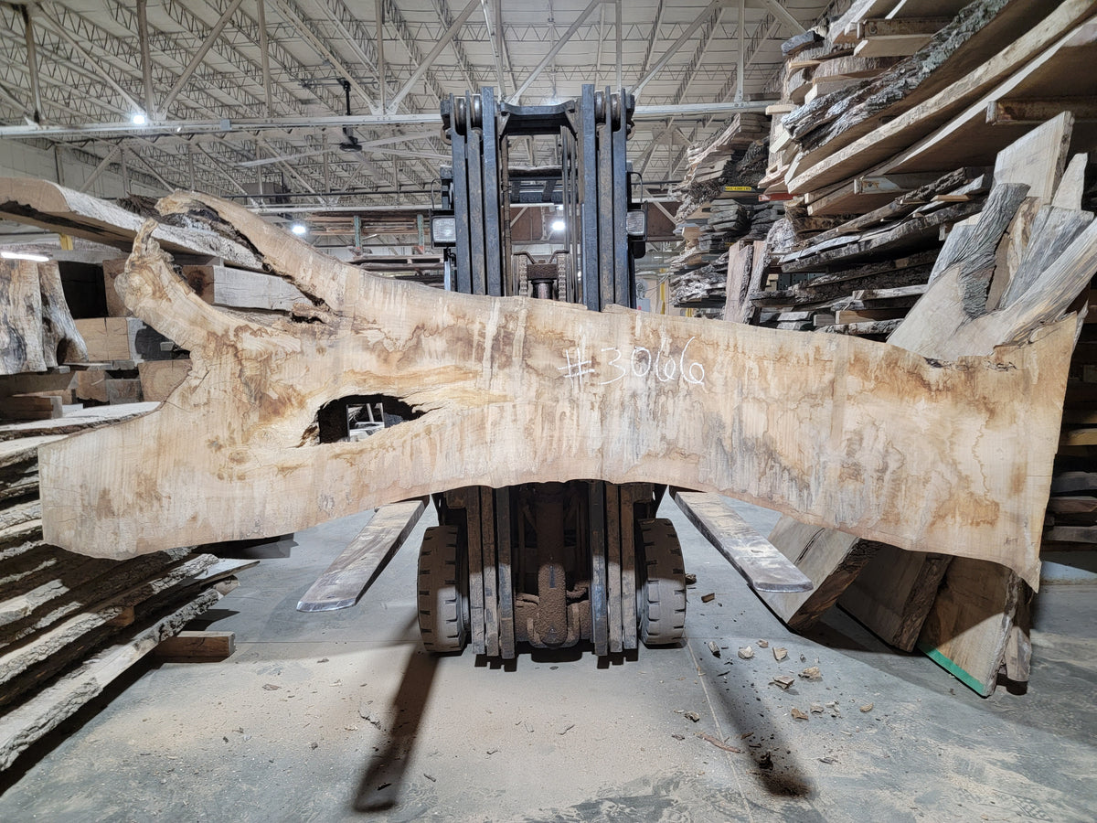 Sugar Maple (3066) 106” L x 18-40” W x 2.5” T