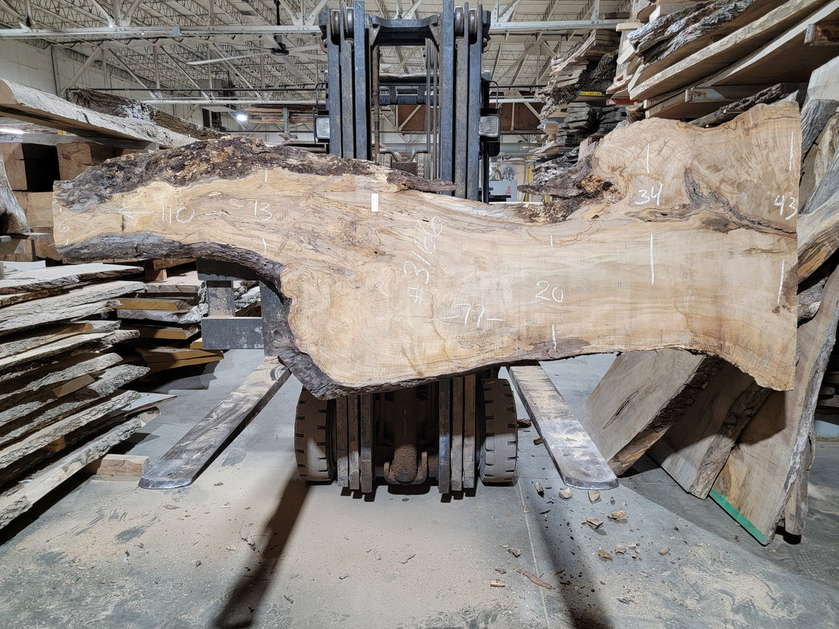 Silver Maple (3166) 77” L x 20-34” W x 2.25” T