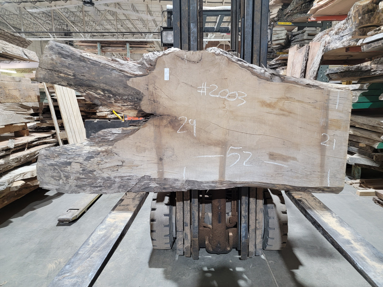 Silver Maple (2003) 52” L x 21-29” W x 2.5” T