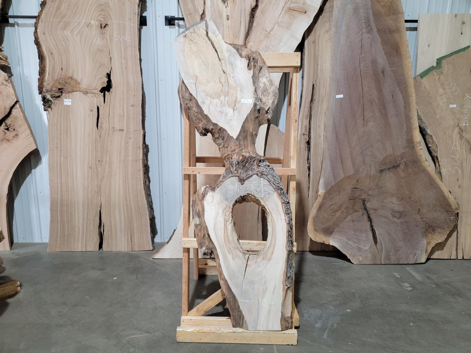 Silver Maple (2004) 72” L x 10-20” W x 2.5” T