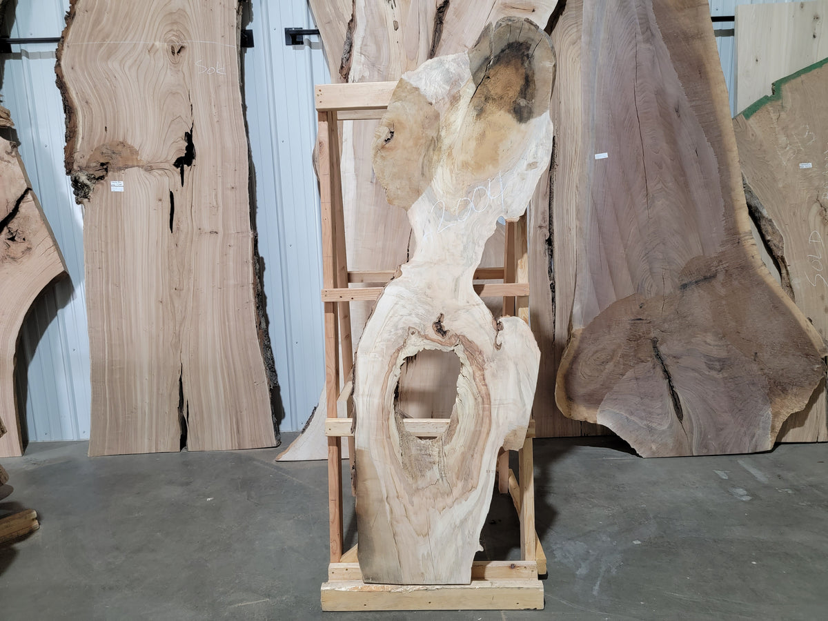 Silver Maple (2004) 72” L x 10-20” W x 2.5” T