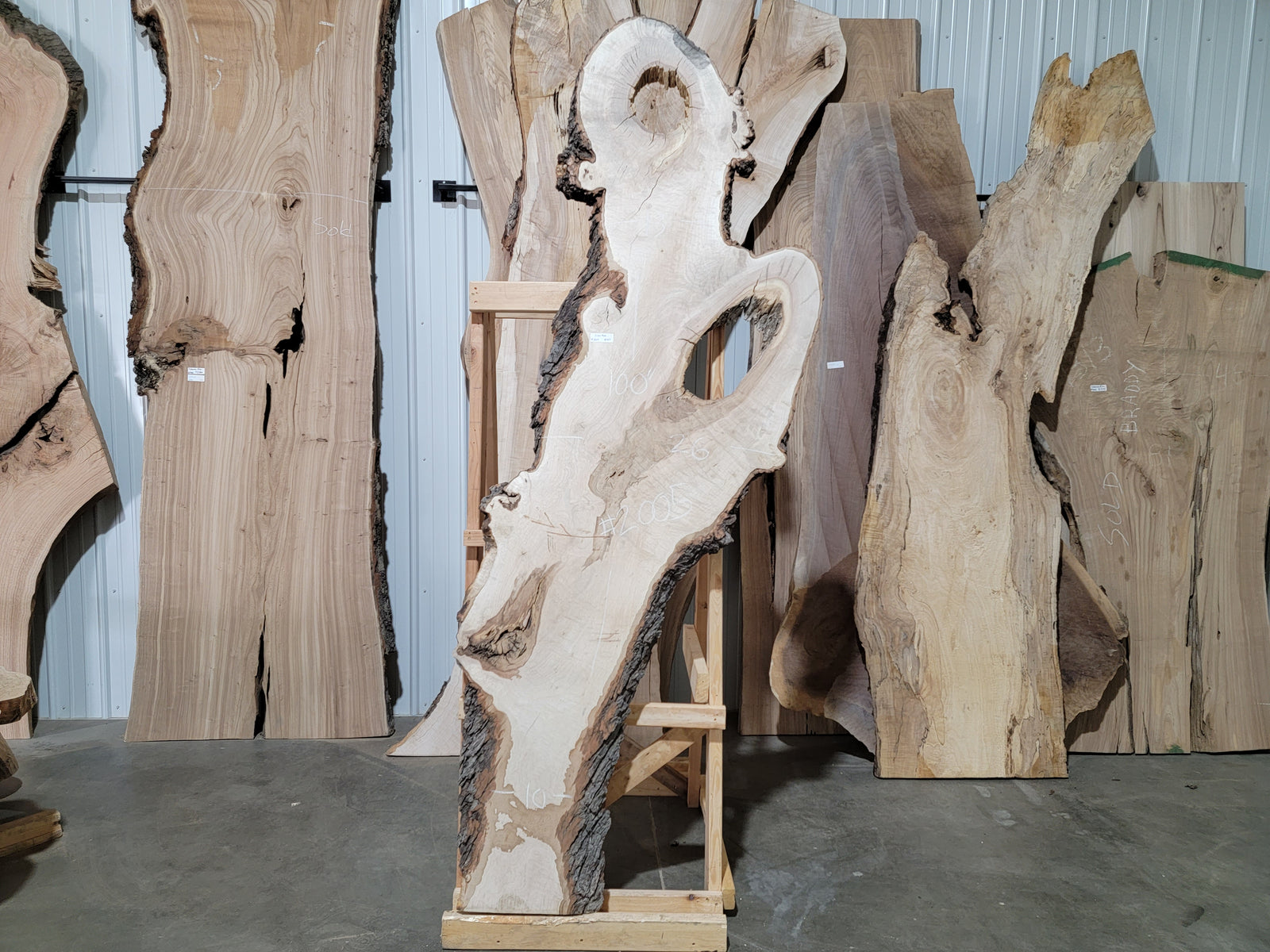 Silver Maple (2005) 100” L x 10-26” W x 2” T