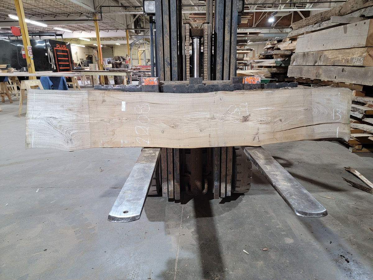 Siberian Elm (2008) 89” L x 13-16” W x 2.25” T
