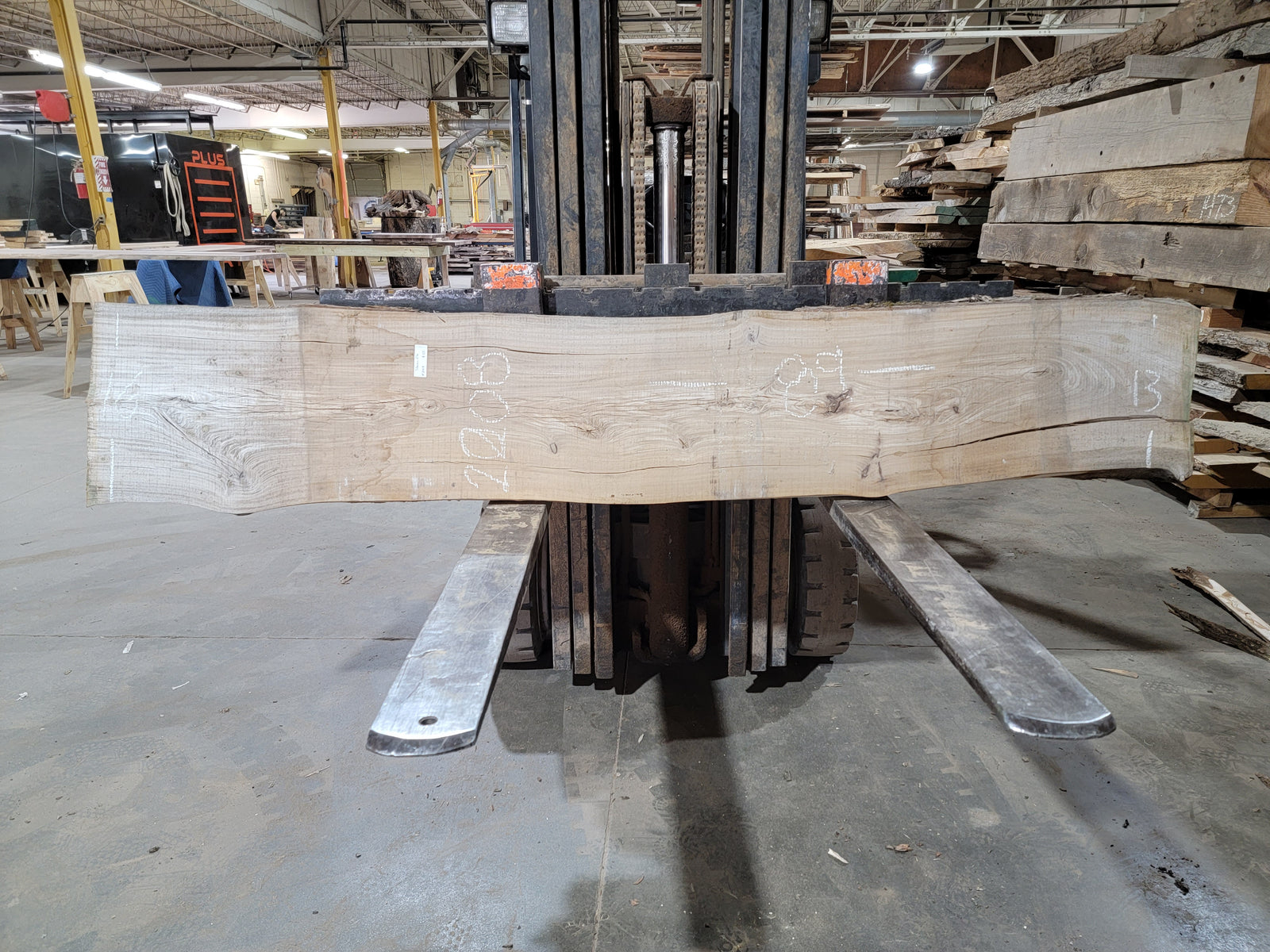 Siberian Elm (2008) 89” L x 13-16” W x 2.25” T