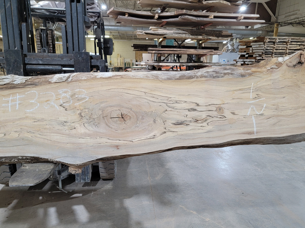 Sycamore  (3283) 142” L x 12-17” W x 2.5” T