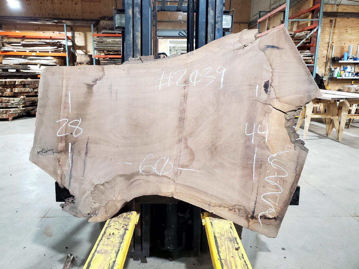 Black Walnut (2039) 60&quot; L x 28-44&quot; W x 2.5&quot; T