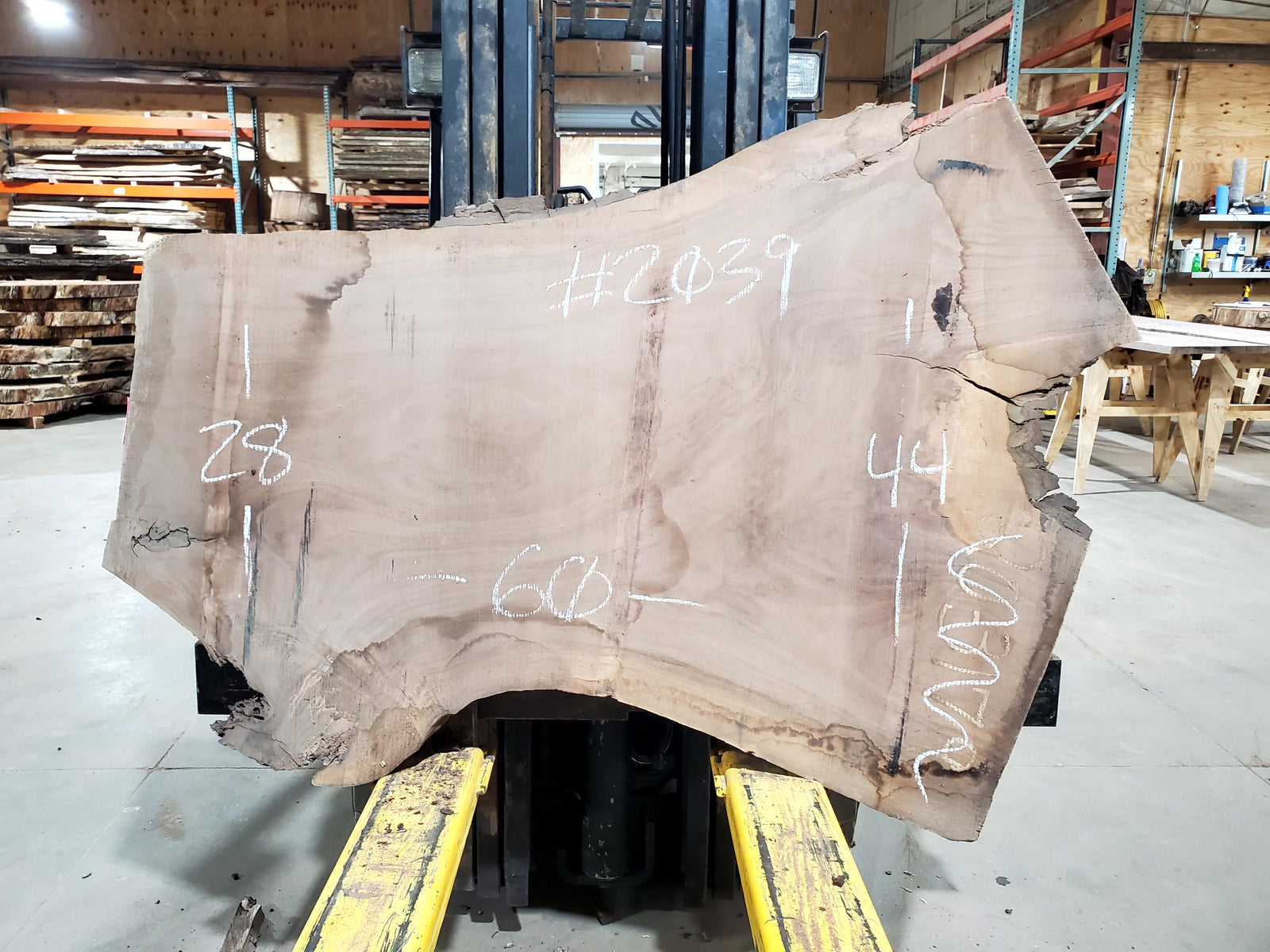 Black Walnut (2039) 60" L x 28-44" W x 2.5" T