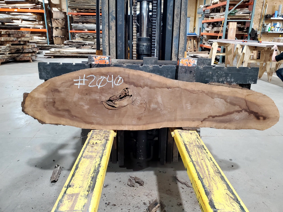 Black Walnut (2040) 36&quot; L x 10-10&quot; W x 2.25&quot; T