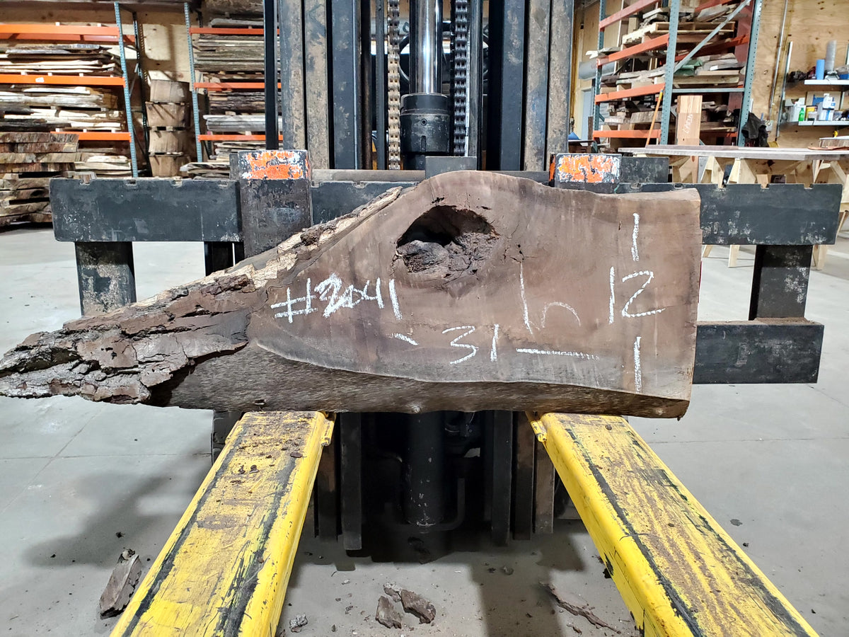 Black Walnut (2041) 31&quot; L x 12-12&quot; W x 2.25&quot; T