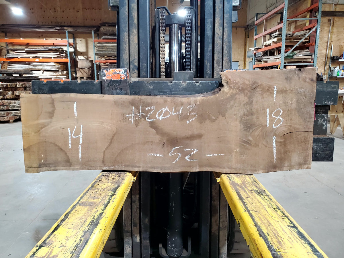 Black Walnut (2043) 52&quot; L x 14-18&quot; W x 2.25&quot; T