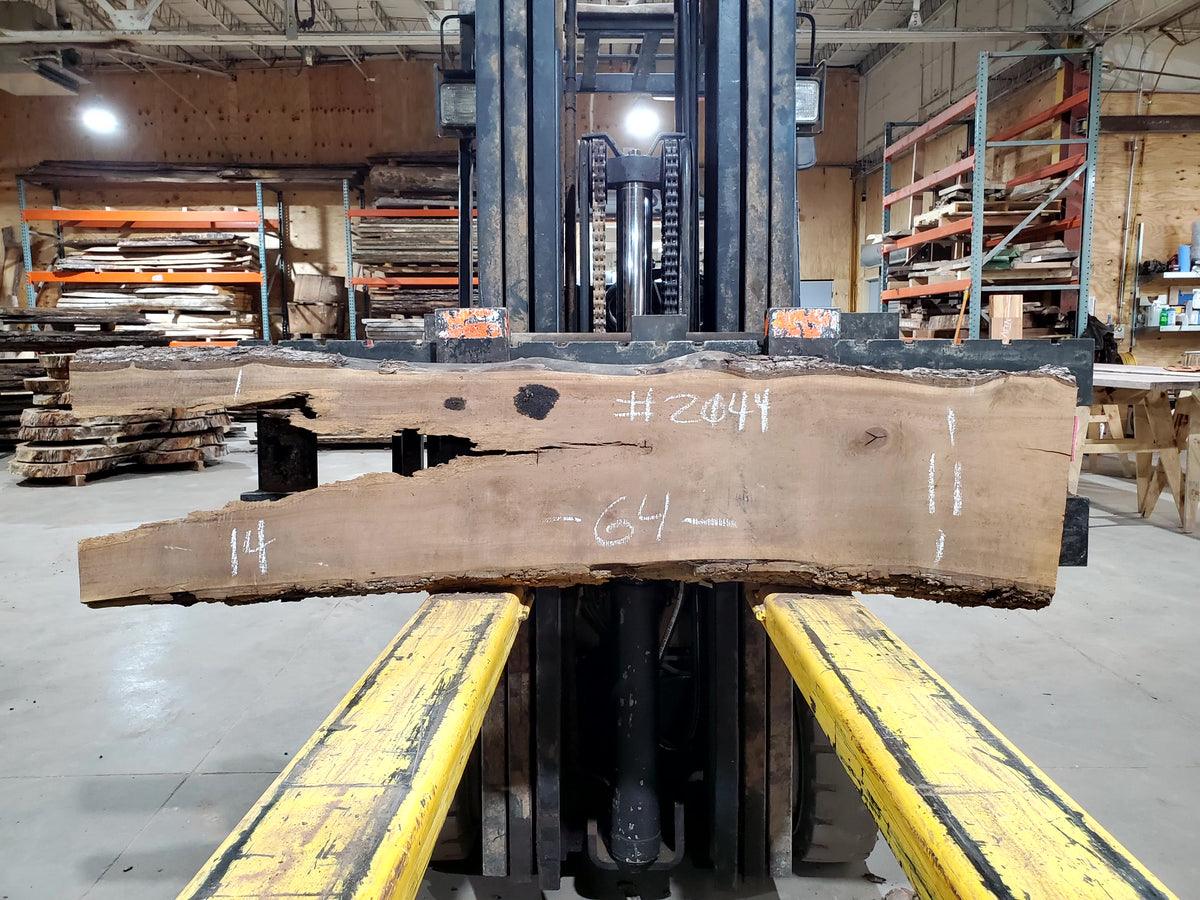 Black Walnut (2044) 64&quot; L x 14-11&quot; W x 2.25&quot; T