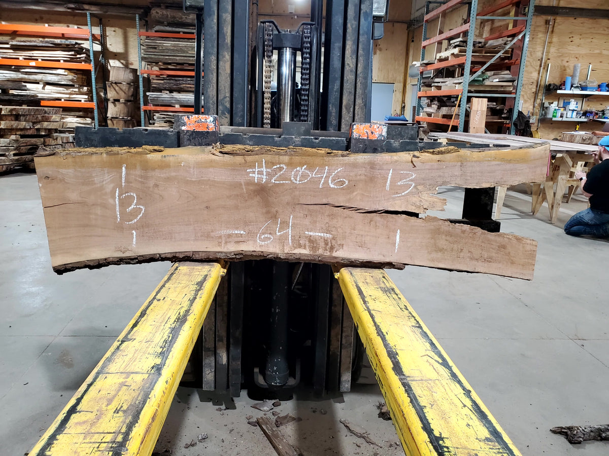 Black Walnut (2046) 64&quot; L x 13-13&quot; W x 2.25&quot; T