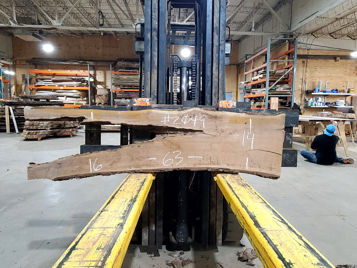 Black Walnut (2049) 63&quot; L x 14-16&quot; W x 2.25&quot; T
