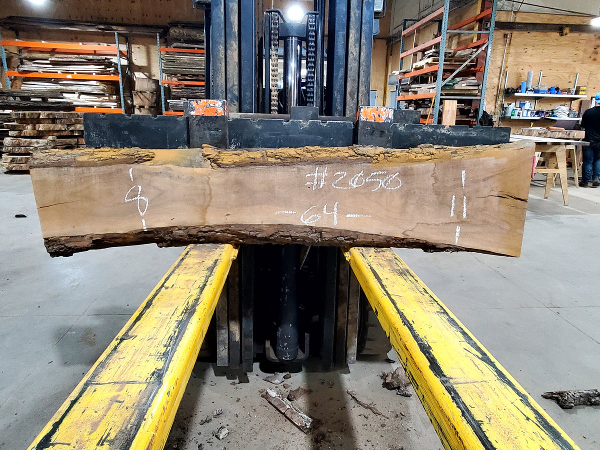 Black Walnut (2050) 64&quot; L x 8-11&quot; W x 2.25&quot; T