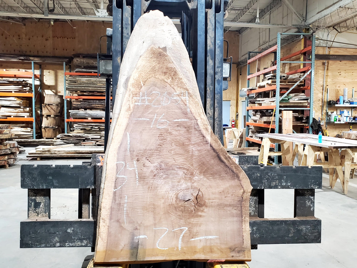 Black Walnut (2054) 34&quot; L x 16-27&quot; W x 2.25&quot; T
