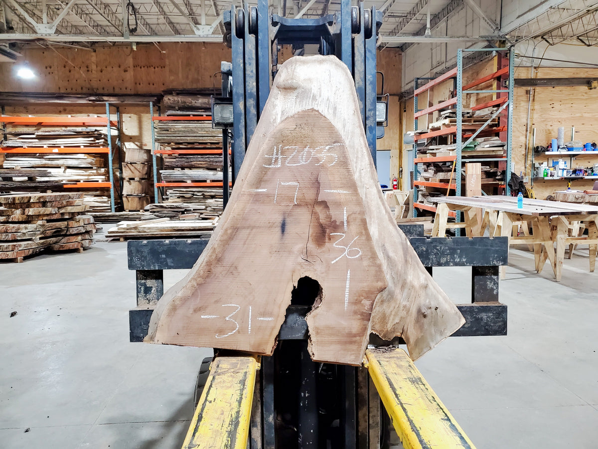 Black Walnut (2055) 35&quot; L x 31-17&quot; W x 2.5&quot; T