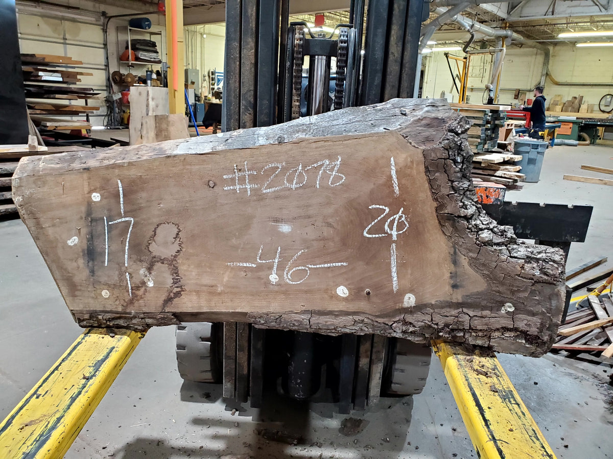 Black Walnut (2078) 46&quot; L x 17-46&quot; W x 2.5&quot; T