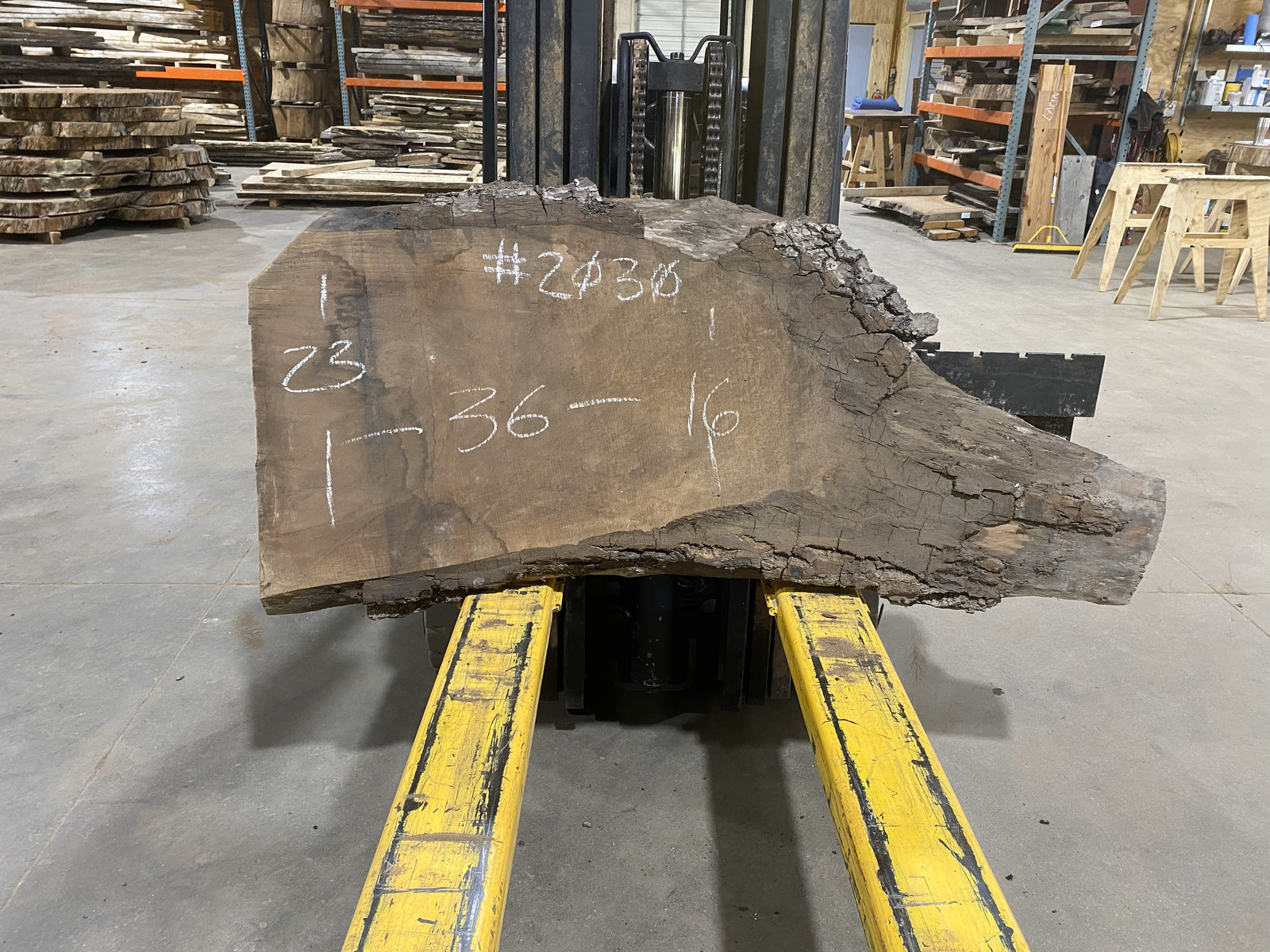 Black Walnut (2030) 36" L x 23-16" W x 2.5" T