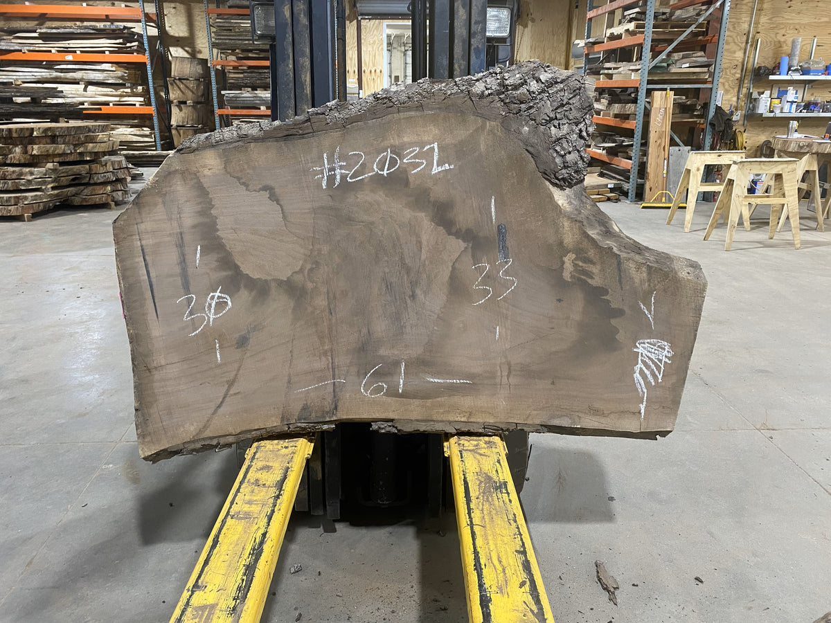 Black Walnut (2032) 61" L x 30-33" W x 2.5" T