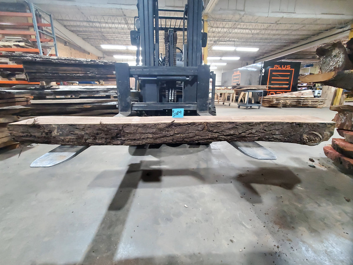 Black Walnut  (2209)  74” L x 7-8” W x 5” T