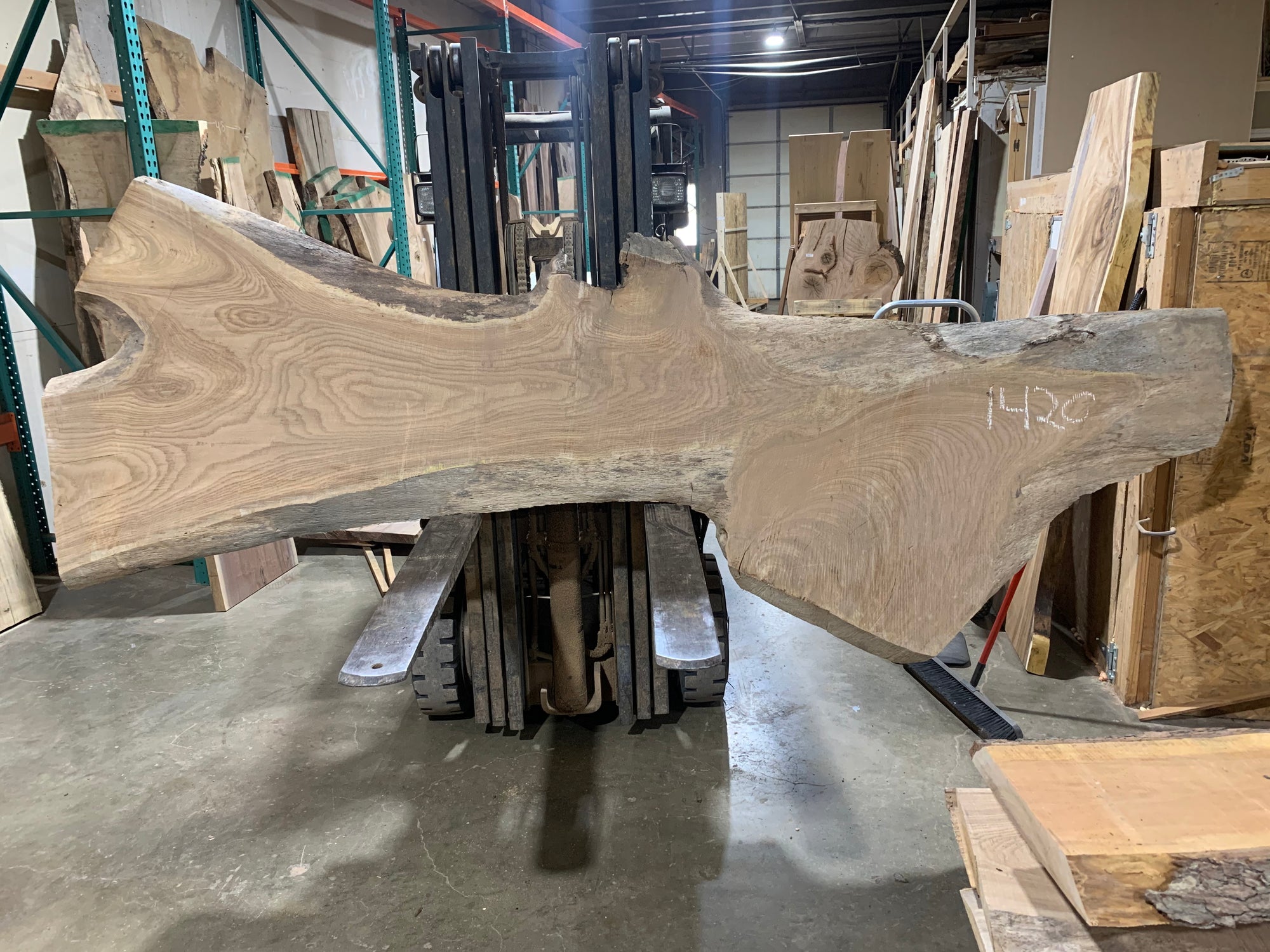 Siberian Elm (1420) 127” L x 16-37” W x 3” T