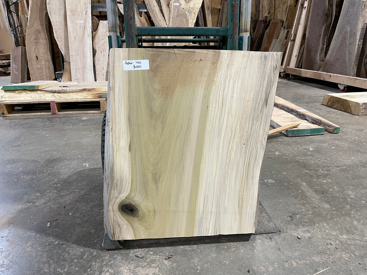 Poplar (1411) 19.75” L x 15-18” W x 4” T