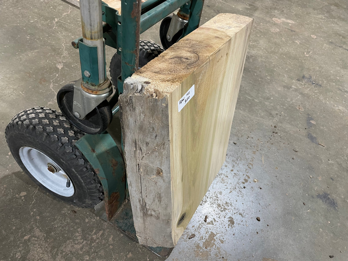 Poplar (1411) 19.75” L x 15-18” W x 4” T