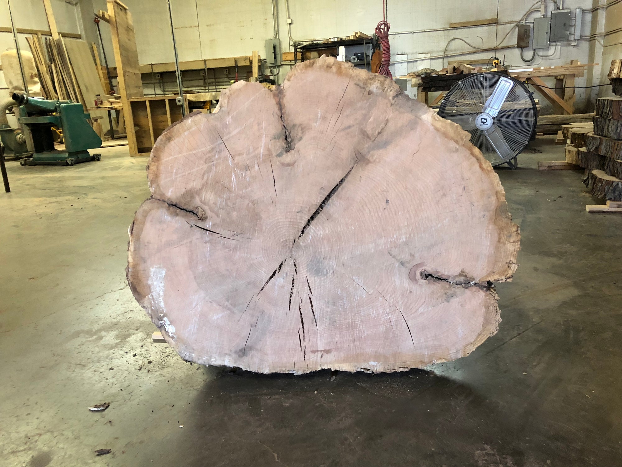 RED OAK (RO104) 52" L X 40" W X 5" T