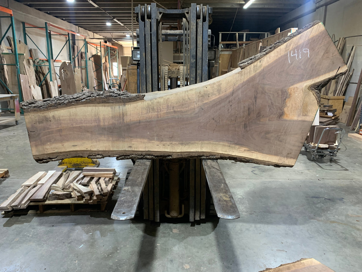 Black Walnut (1419) 108” L x 21-49” W x 2.5” T