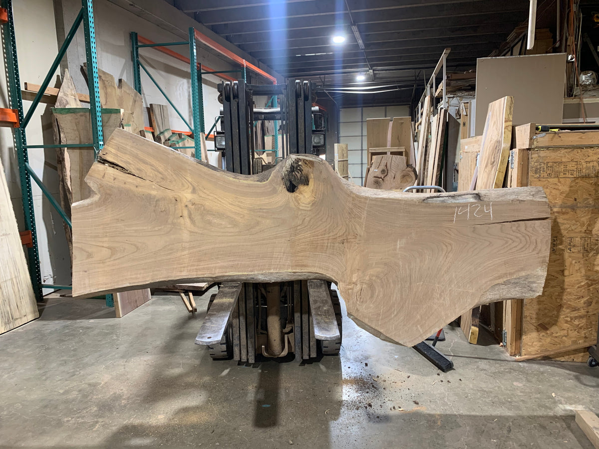 Siberian Elm (1424) 127” L x 30-43” W x 3” T