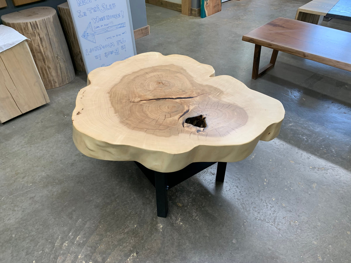 Silver Maple Cross Cut Coffee Table