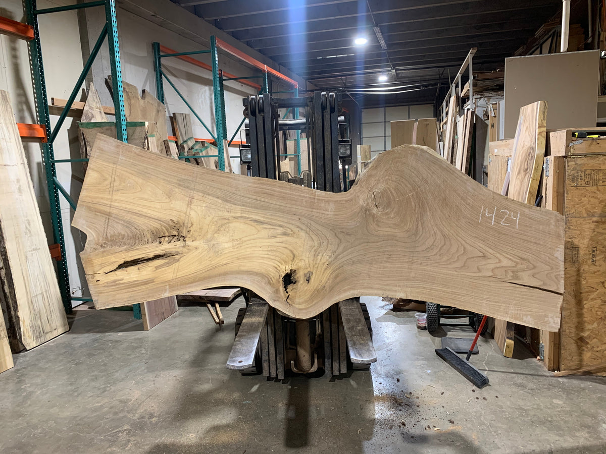 Siberian Elm (1424) 127” L x 30-43” W x 3” T