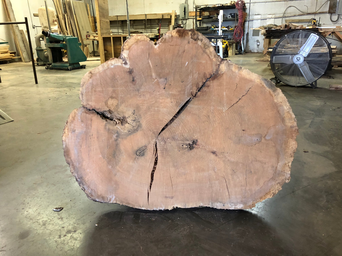 RED OAK (RO103) 55" L X 42" W X 5" T