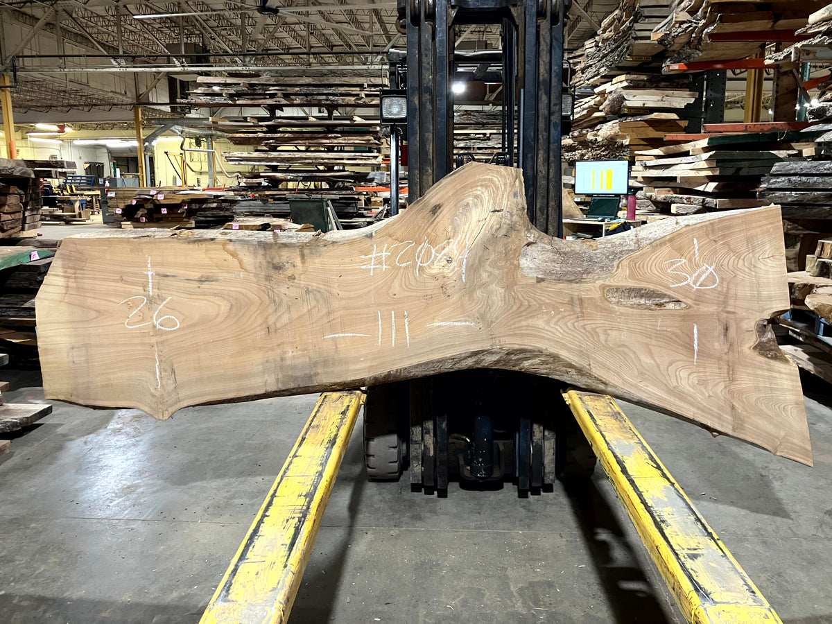 Red Elm (2084) 111” L x 26-30” W x 2.5” T