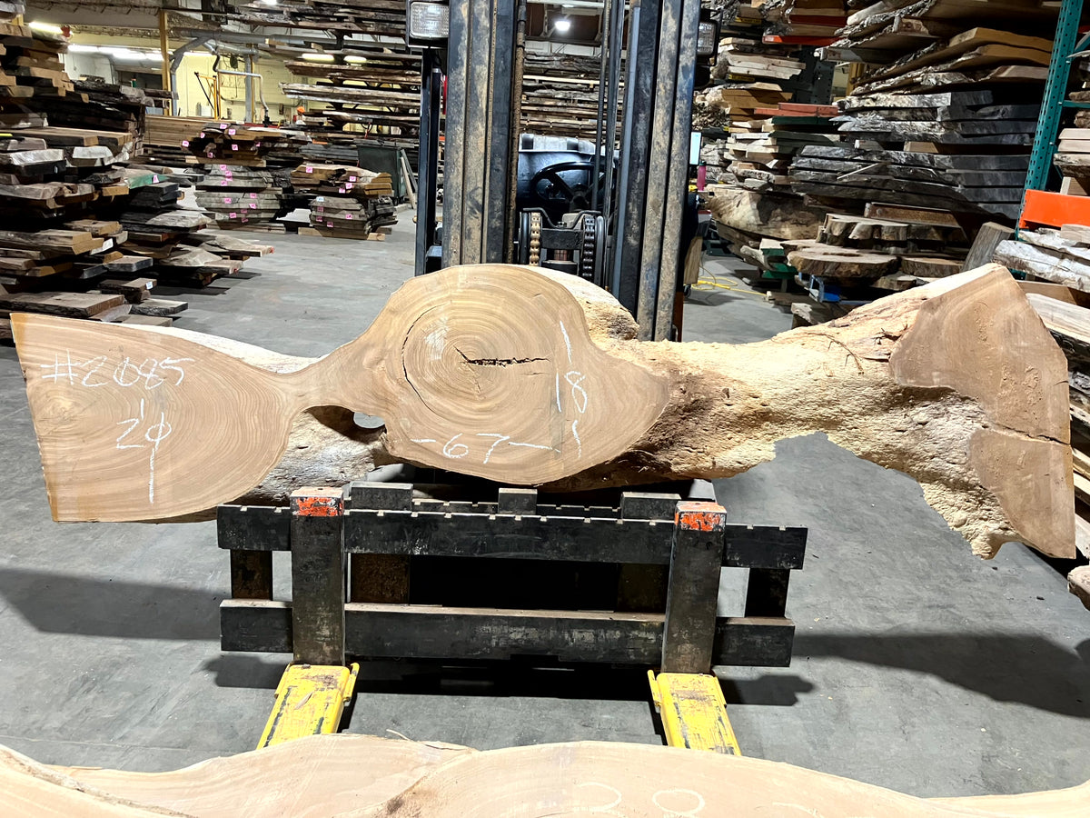 Red Elm (2085) 67” L x 18-20” W x 2.5” T