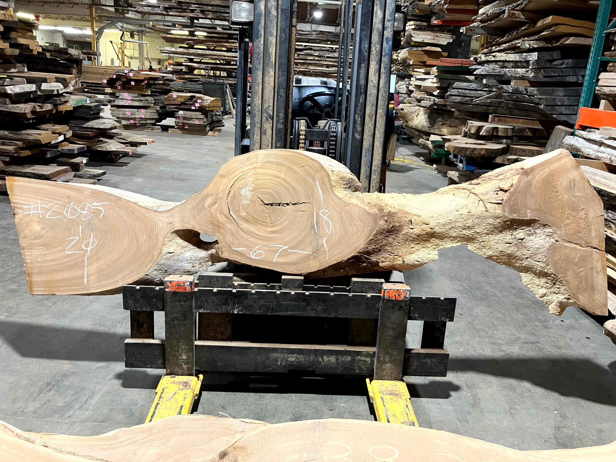 Red Elm (2085) 67” L x 18-20” W x 2.5” T